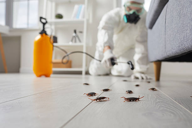 Post-Treatment Bed Bug Interceptor Monitoring in Elkhart Lake