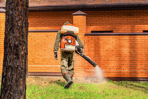 Bed Bug Clearance Verification and Documentation in Elkhart Lake